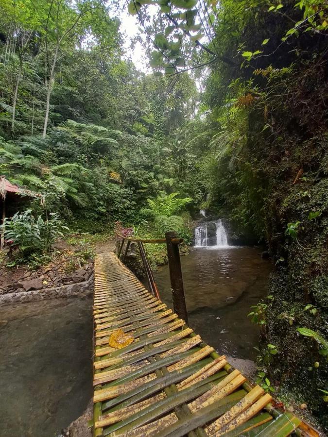 Munduk Tutub Waterfall View Eksteriør bilde