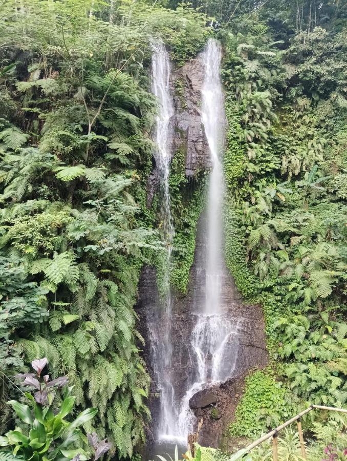 Munduk Tutub Waterfall View Eksteriør bilde